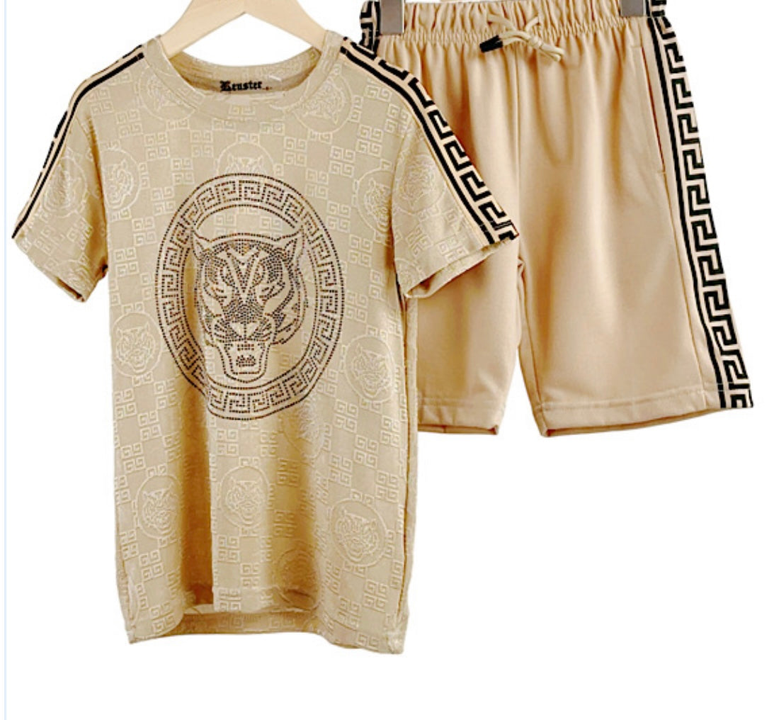 Boys Tiger Print Tshirt & Shorts Sets